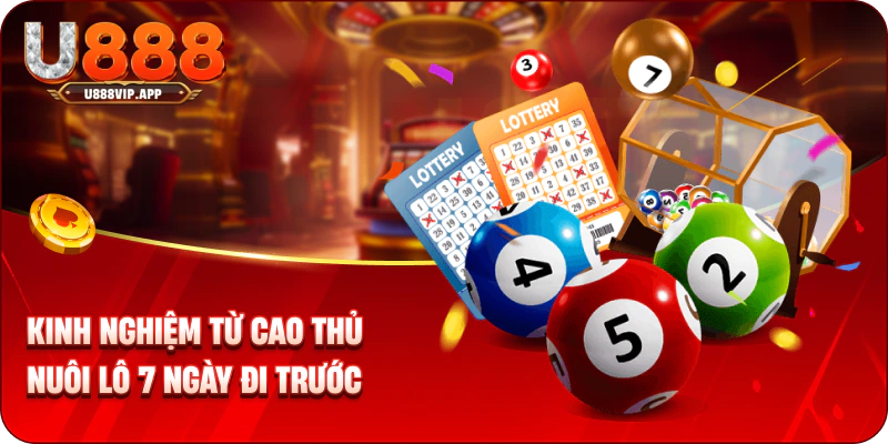 Kinh nghiệm từ cao thủ nuôi lô 7 ngày đi trước